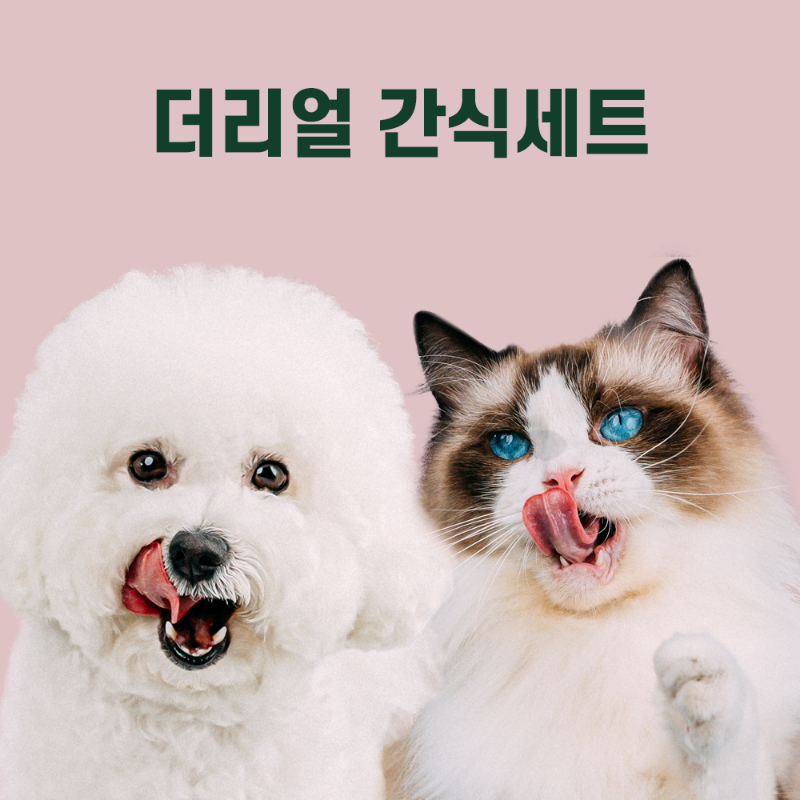 더리얼 간식세트(강아지/고양이)